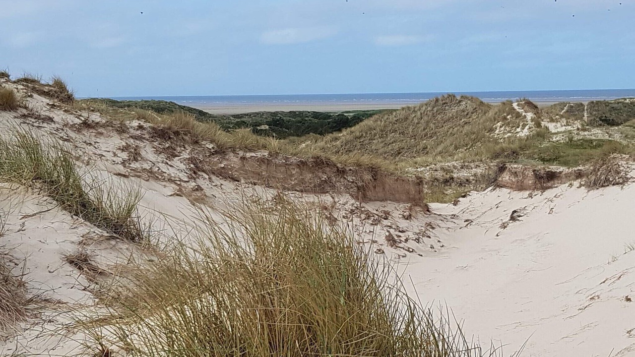 Photo of Others in Rindby Strand