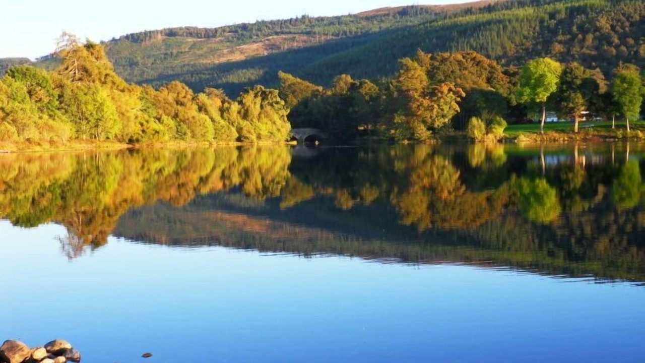 Photo of Others in Balnain