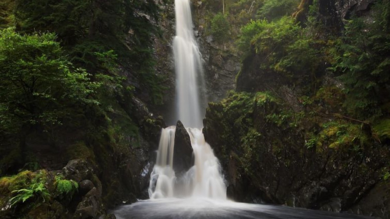 Photo of Others in Balnain