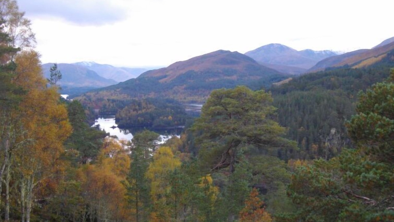 Photo of Others in Balnain