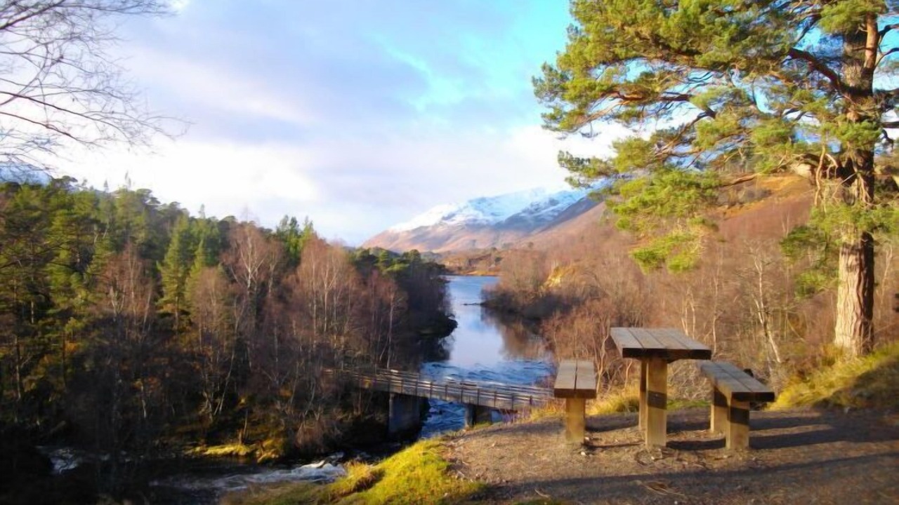 Photo of Others in Balnain