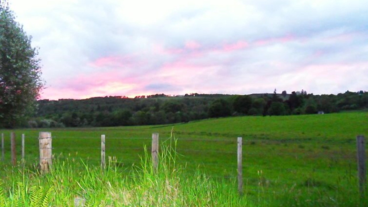 Photo of Others in Balnain