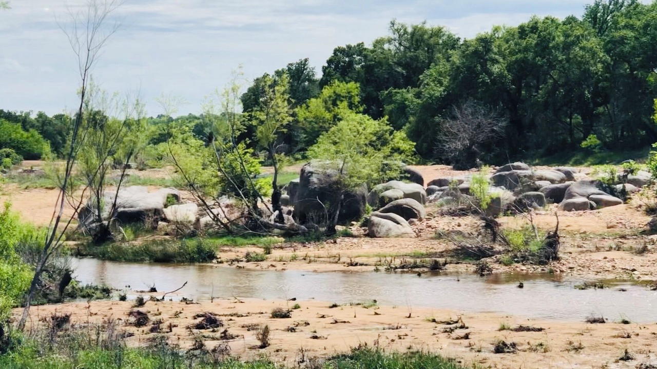 Photo of Others in Llano County