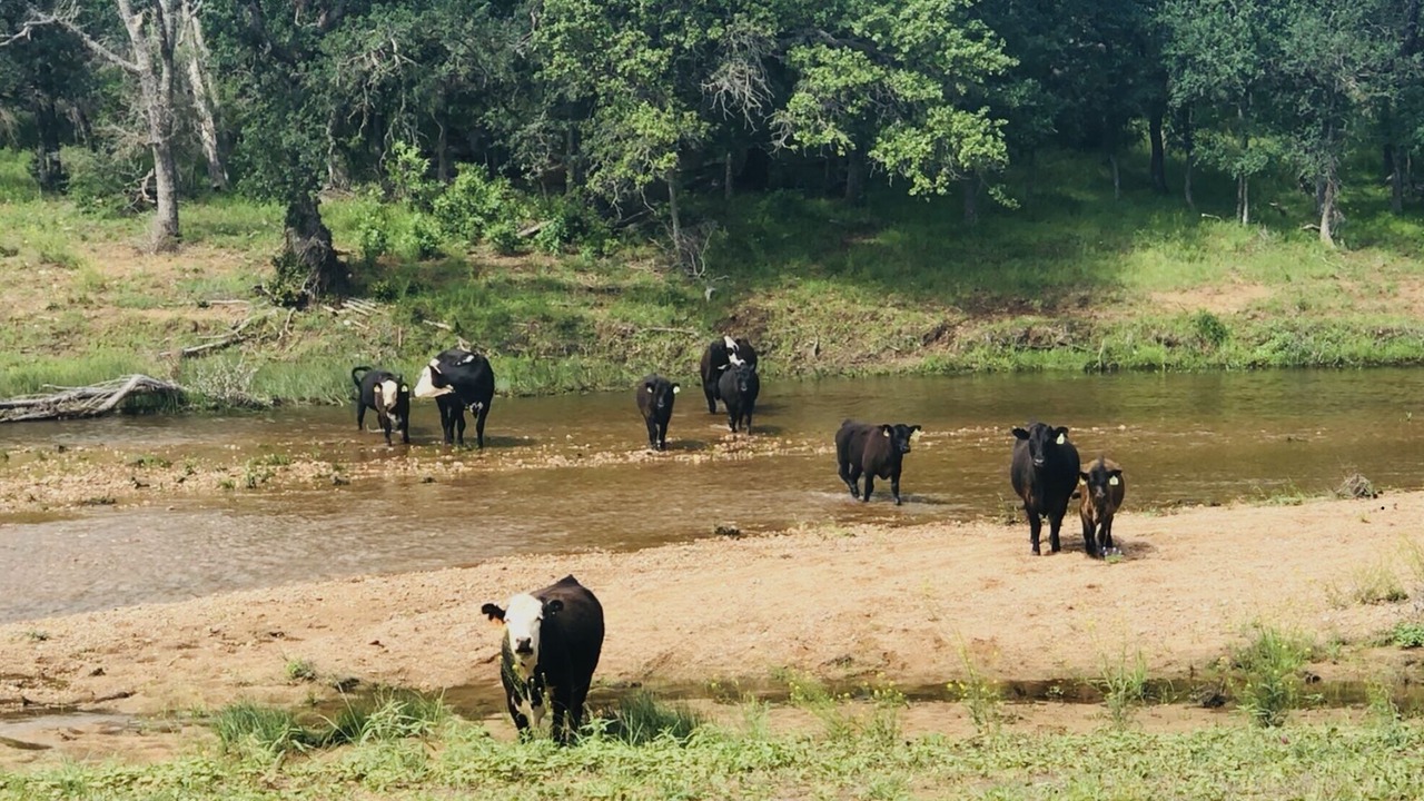 Photo of Others in Llano County