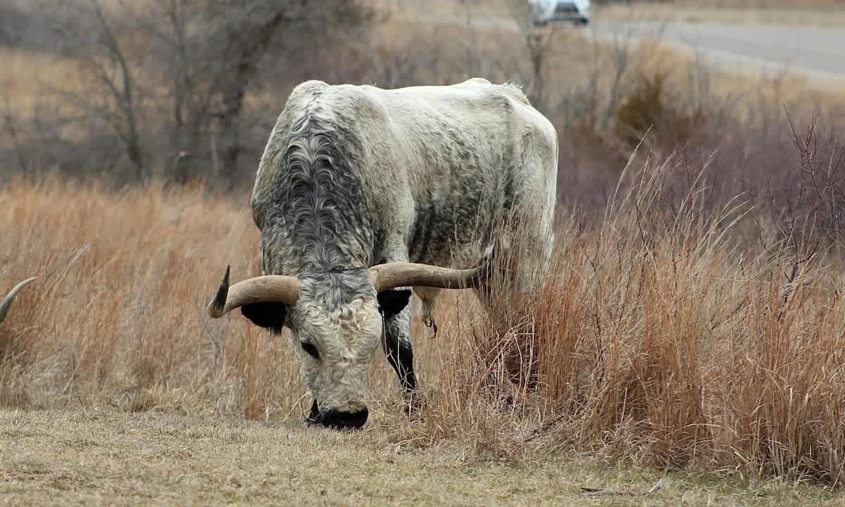 Photo of Others in Lawton