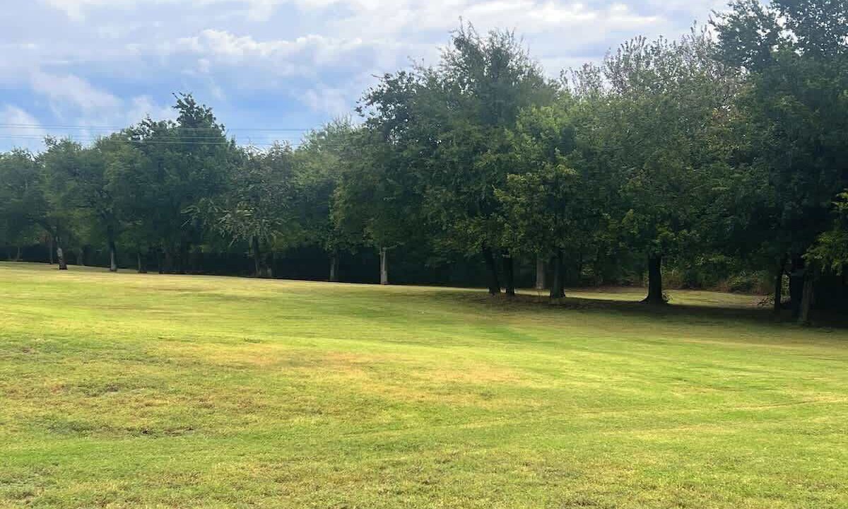 Photo of Others in Lawton