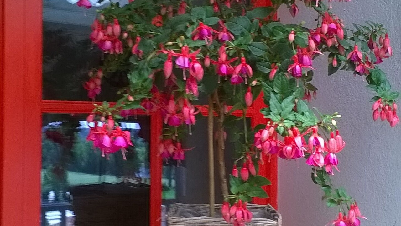 Photo of Outdoor in Aubeterre-sur-Dronne