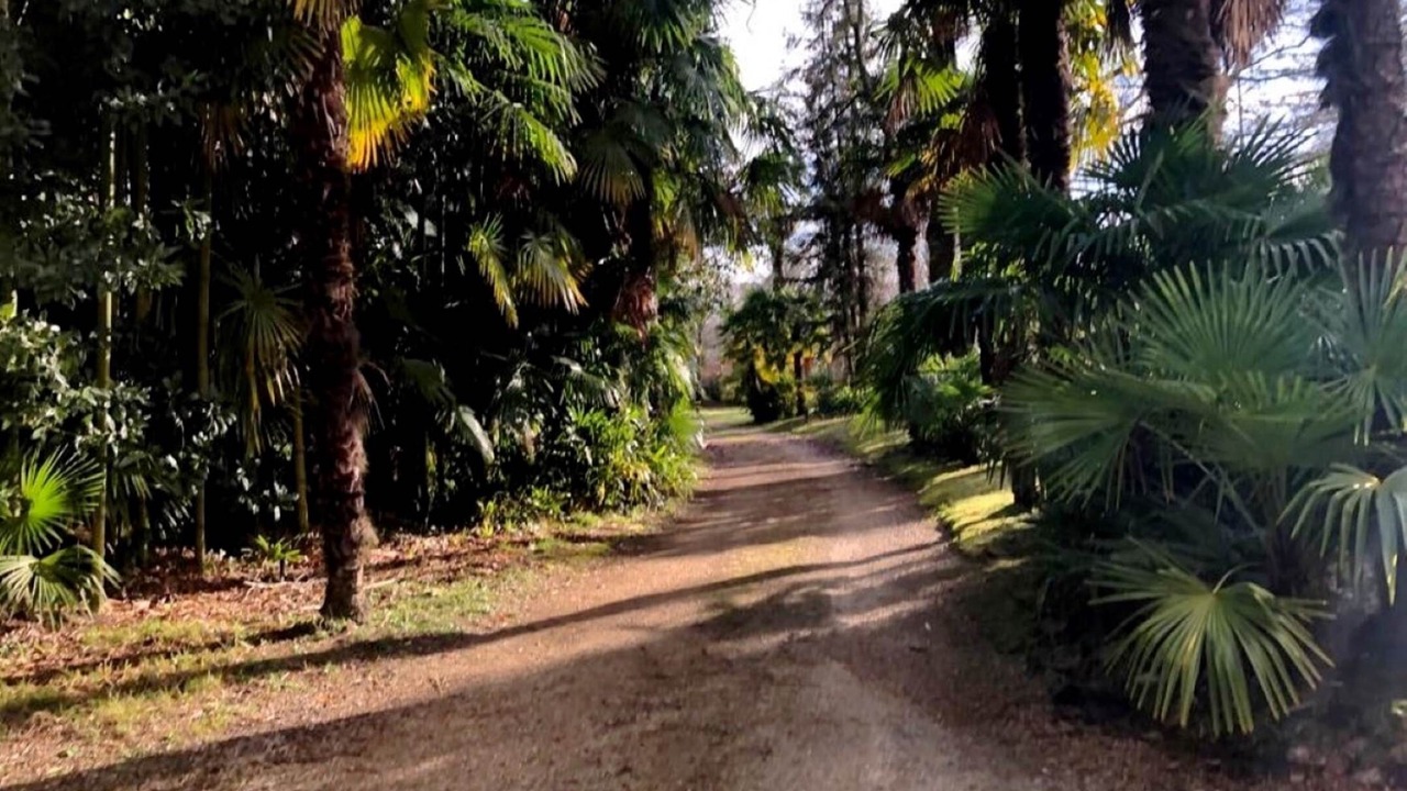 Photo of Others in Saint-Laurent-de-Gosse