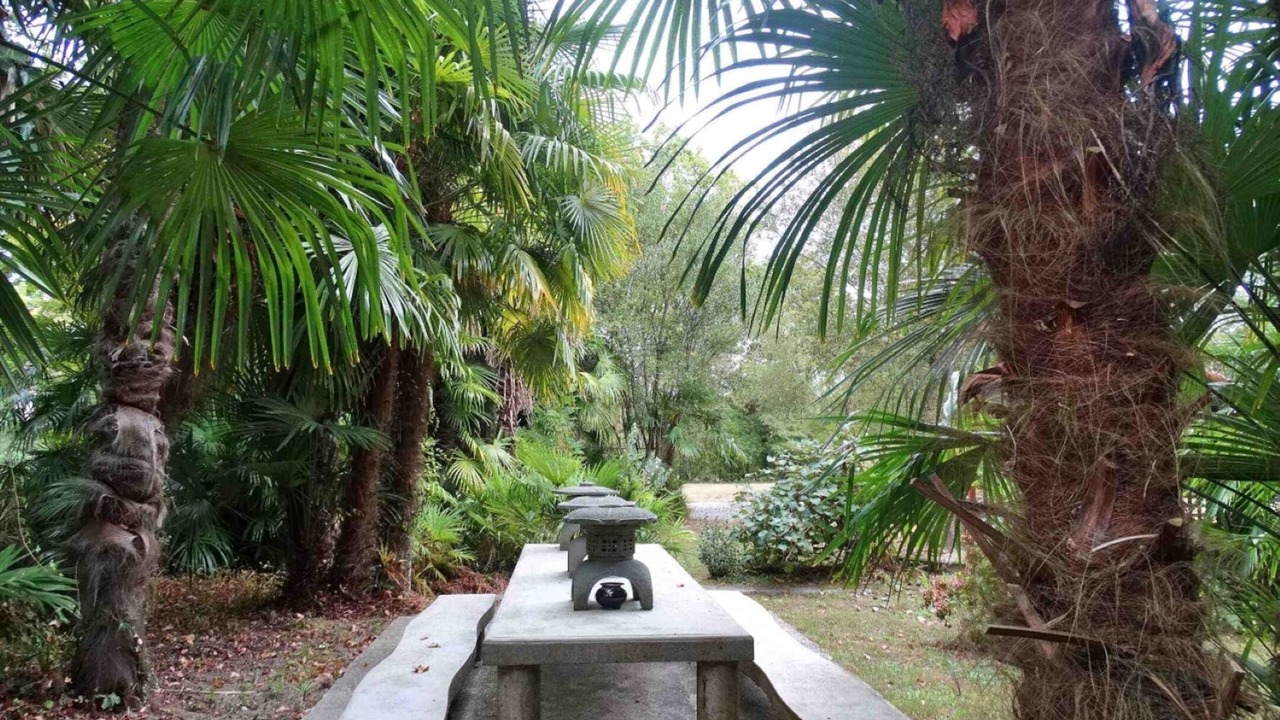 Photo of Others in Saint-Laurent-de-Gosse