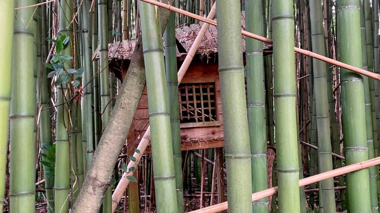 Photo of Others in Saint-Laurent-de-Gosse