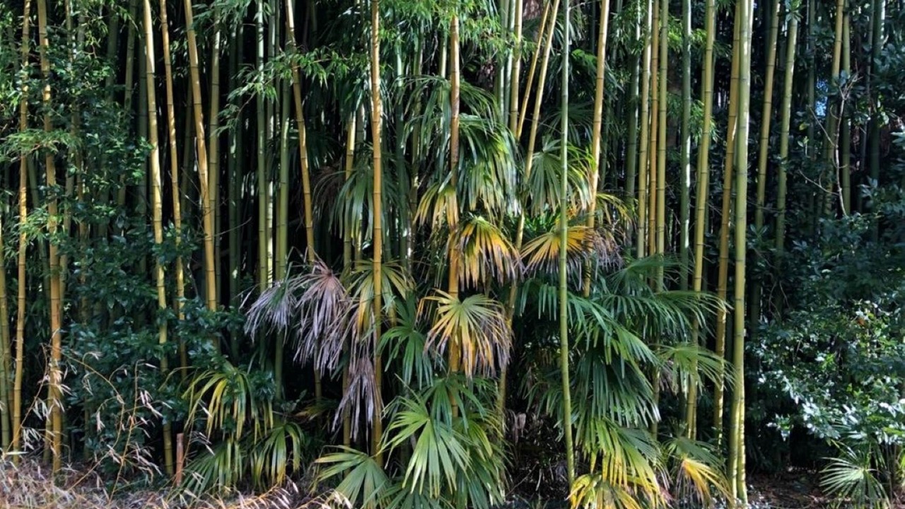 Photo of Others in Saint-Laurent-de-Gosse