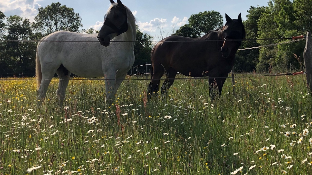 Photo of Outdoor in Angrie