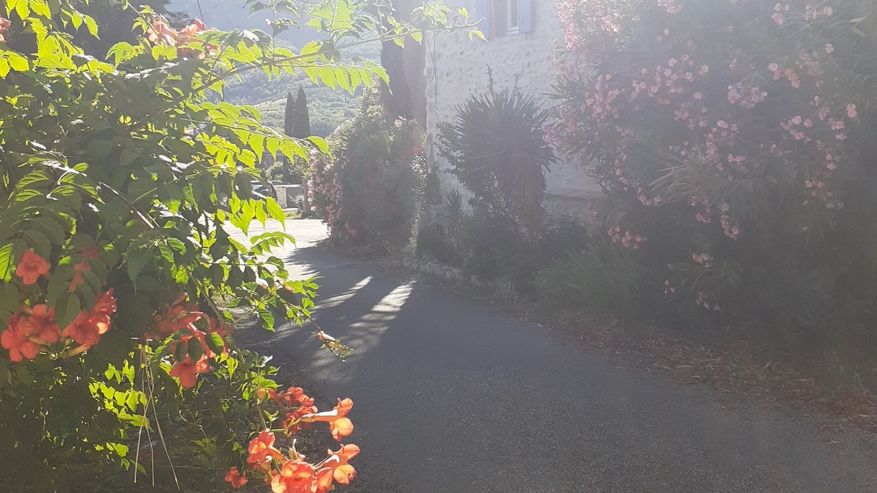 Photo of Outdoor in Roche-Saint-Secret
