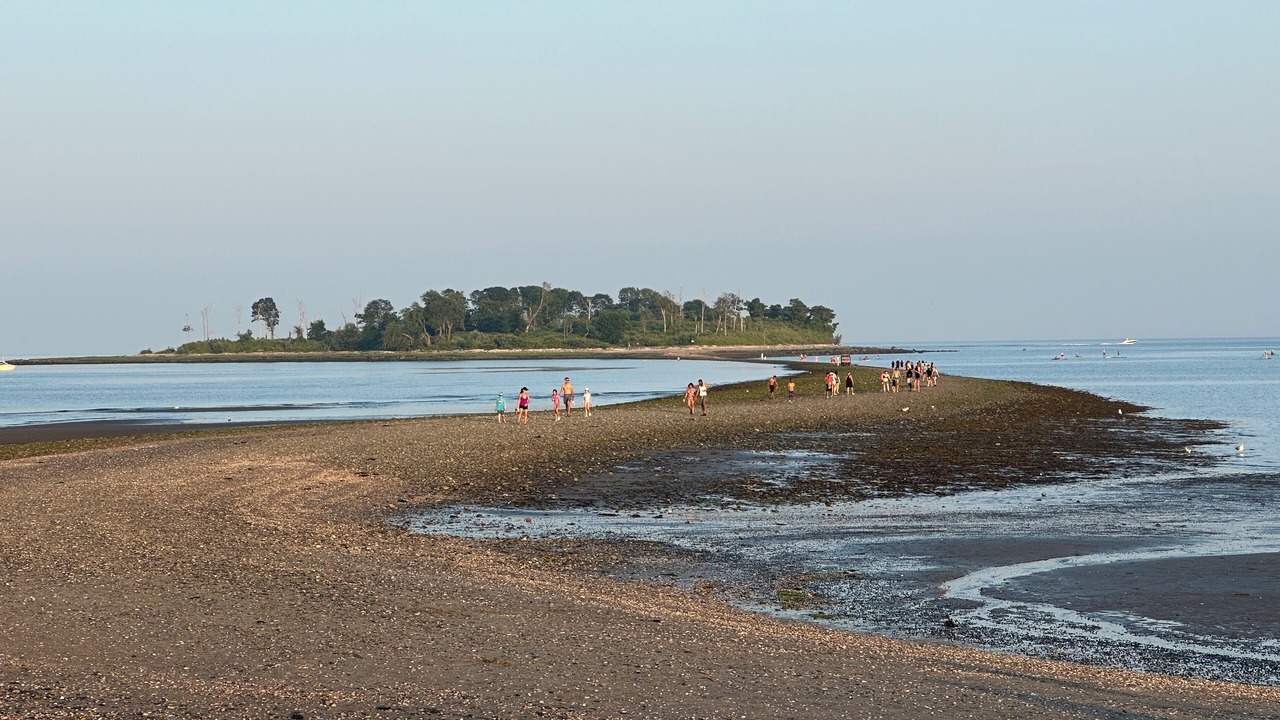 Photo of Others in Devon