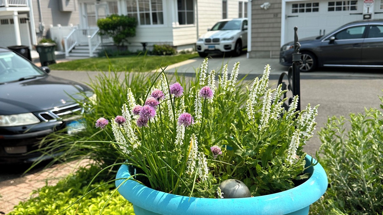 Photo of Outdoor in Devon