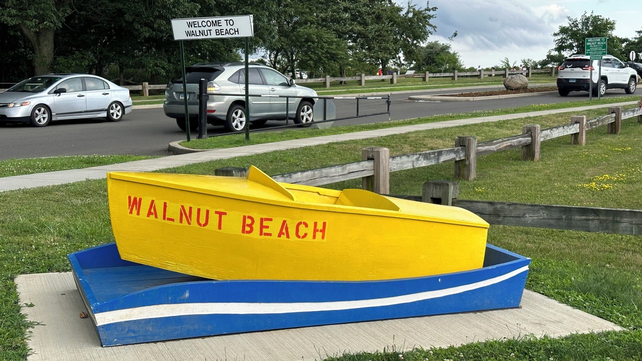 Photo of Others in Devon