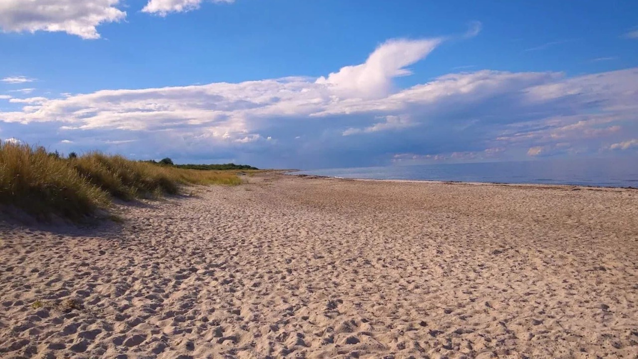 Photo of Others in Grenaa