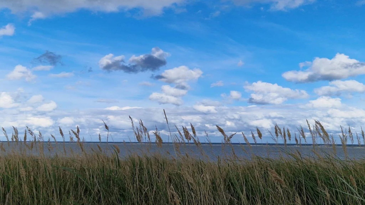 Photo of Others in Grenaa