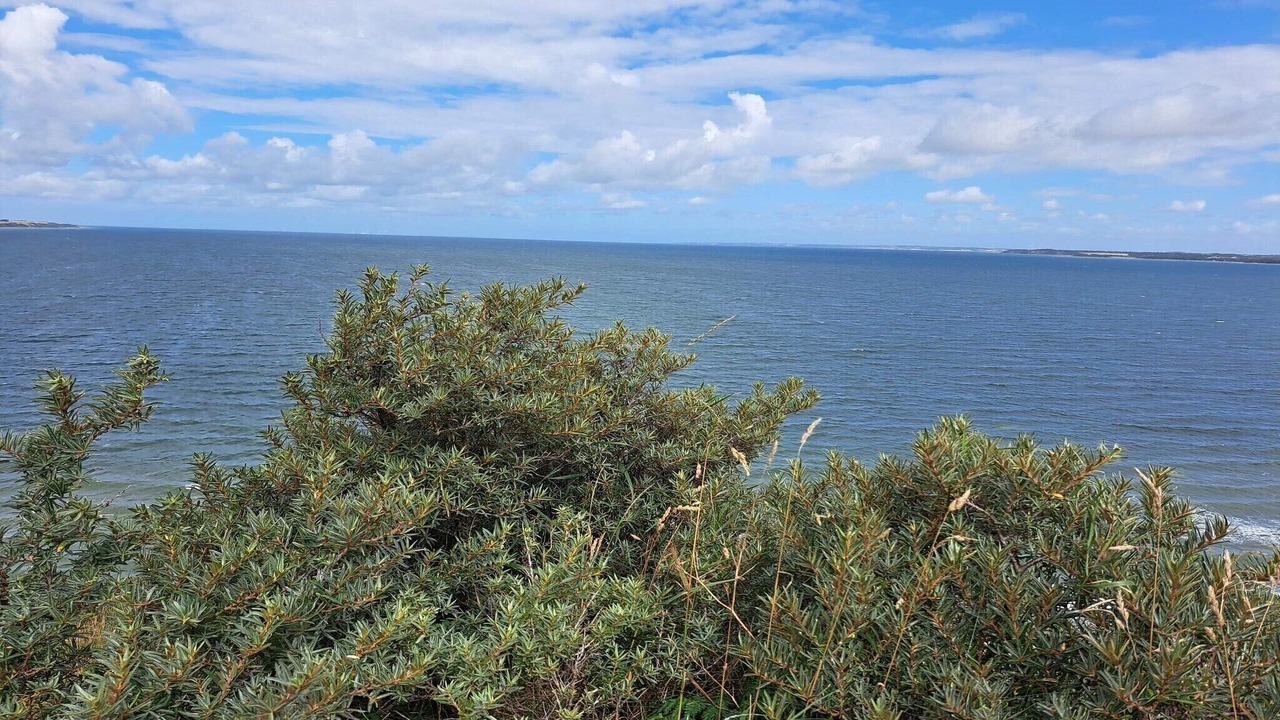Photo of Others in Remmer Strand