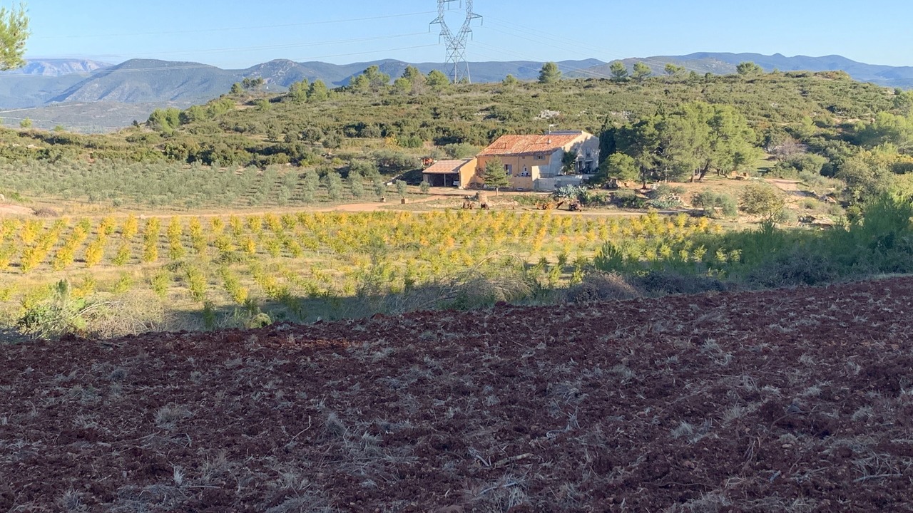 Photo of Outdoor in Cessenon-sur-Orb