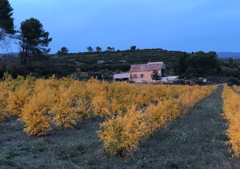 Photo of Outdoor in Cessenon-sur-Orb