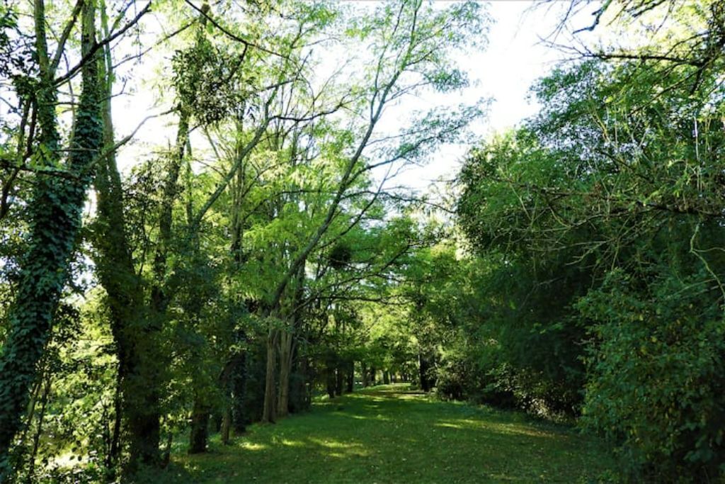 Photo of Outdoor in Thury