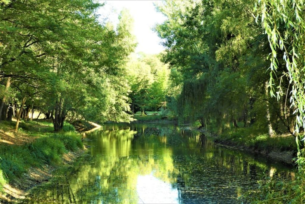 Photo of Others in Thury