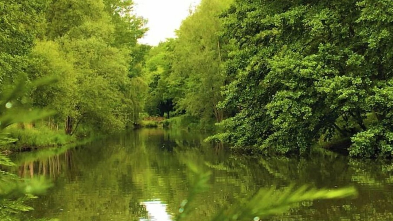 Photo of Outdoor in Thury