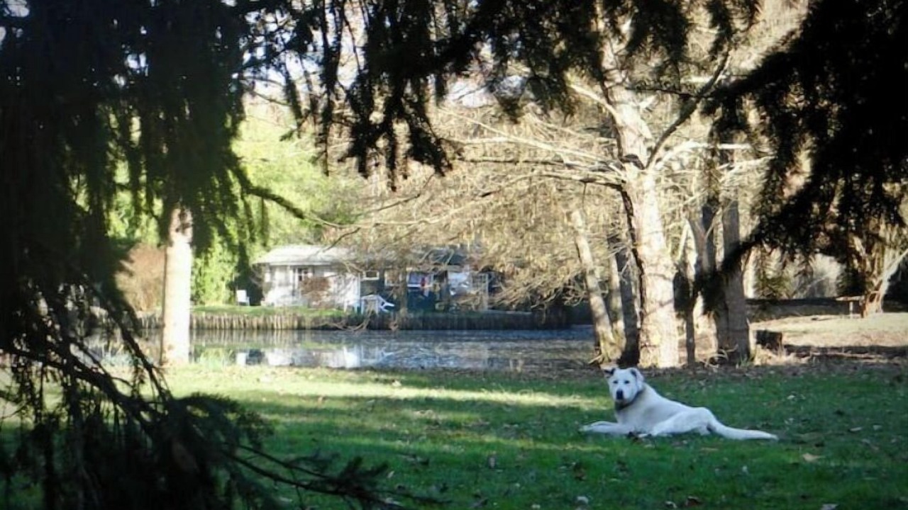 Photo of Outdoor in Thury