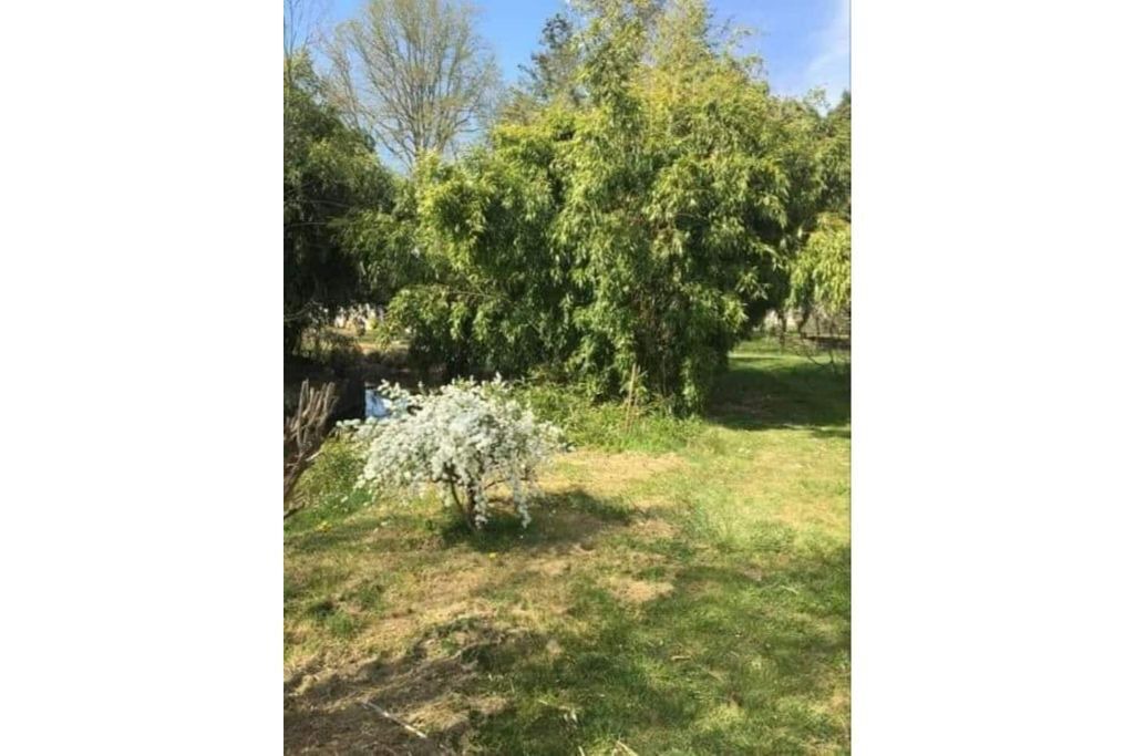 Photo of Outdoor in Thury