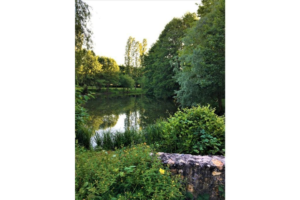 Photo of Outdoor in Thury