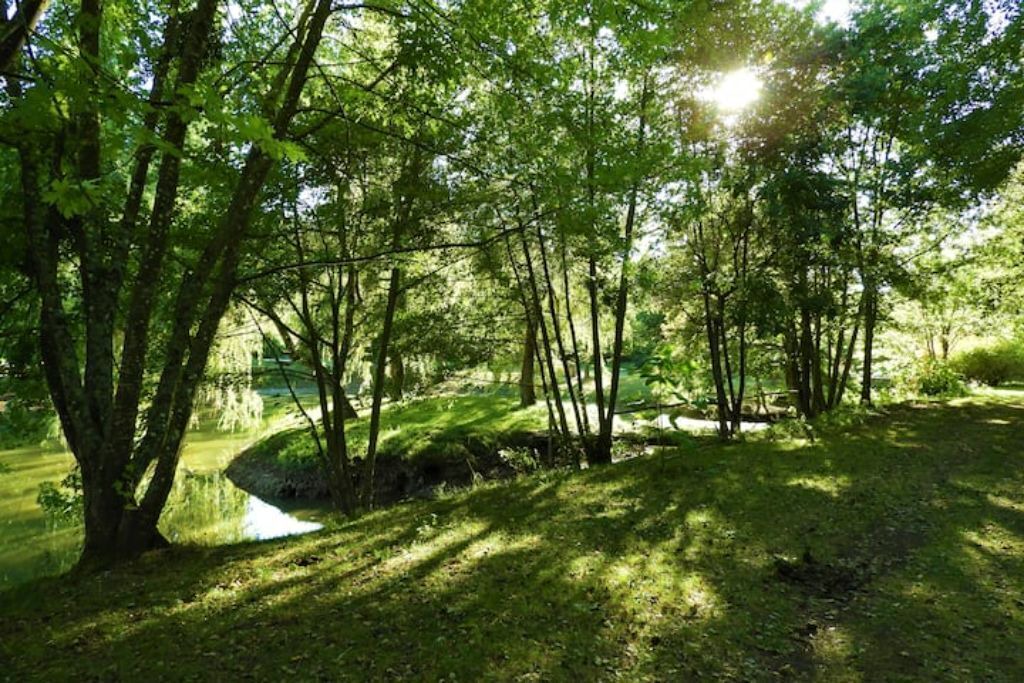 Photo of Outdoor in Thury