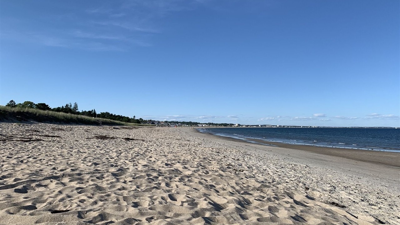 Photo of Others in Camp Ellis