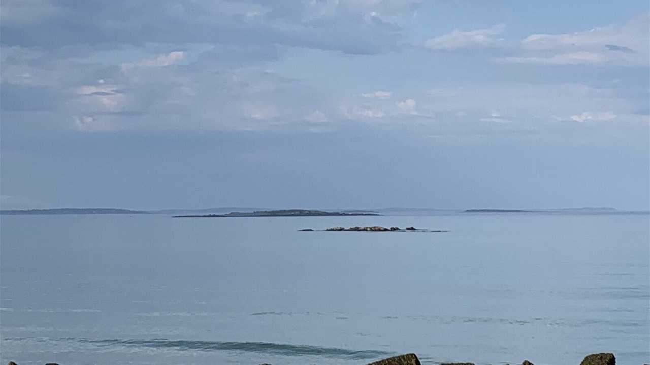 Photo of Others in Camp Ellis