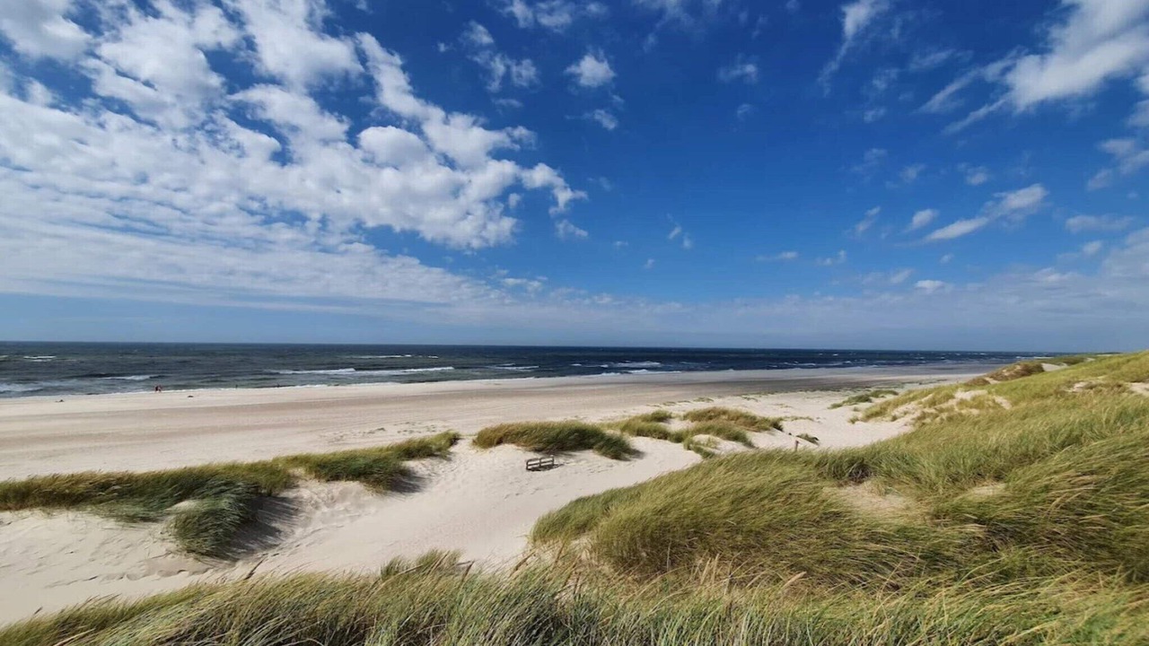 Photo of Others in Henne Strand