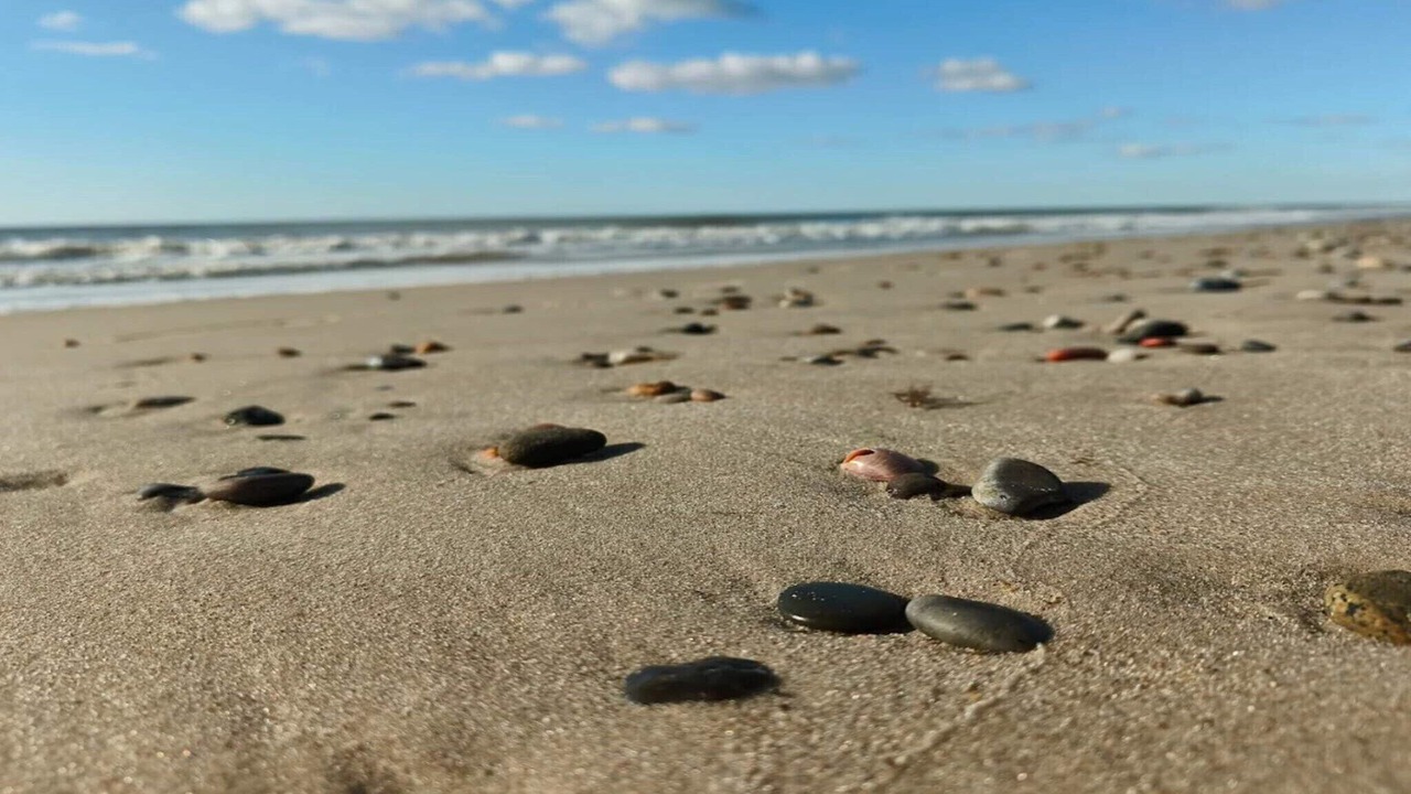 Photo of Others in Henne Strand