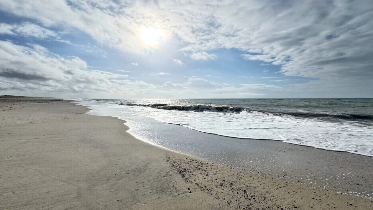 Photo of Others in Henne Strand