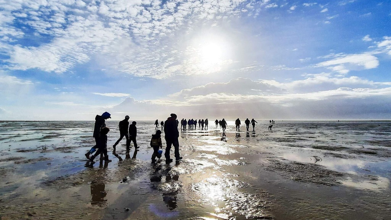 Photo of Others in Sønderho