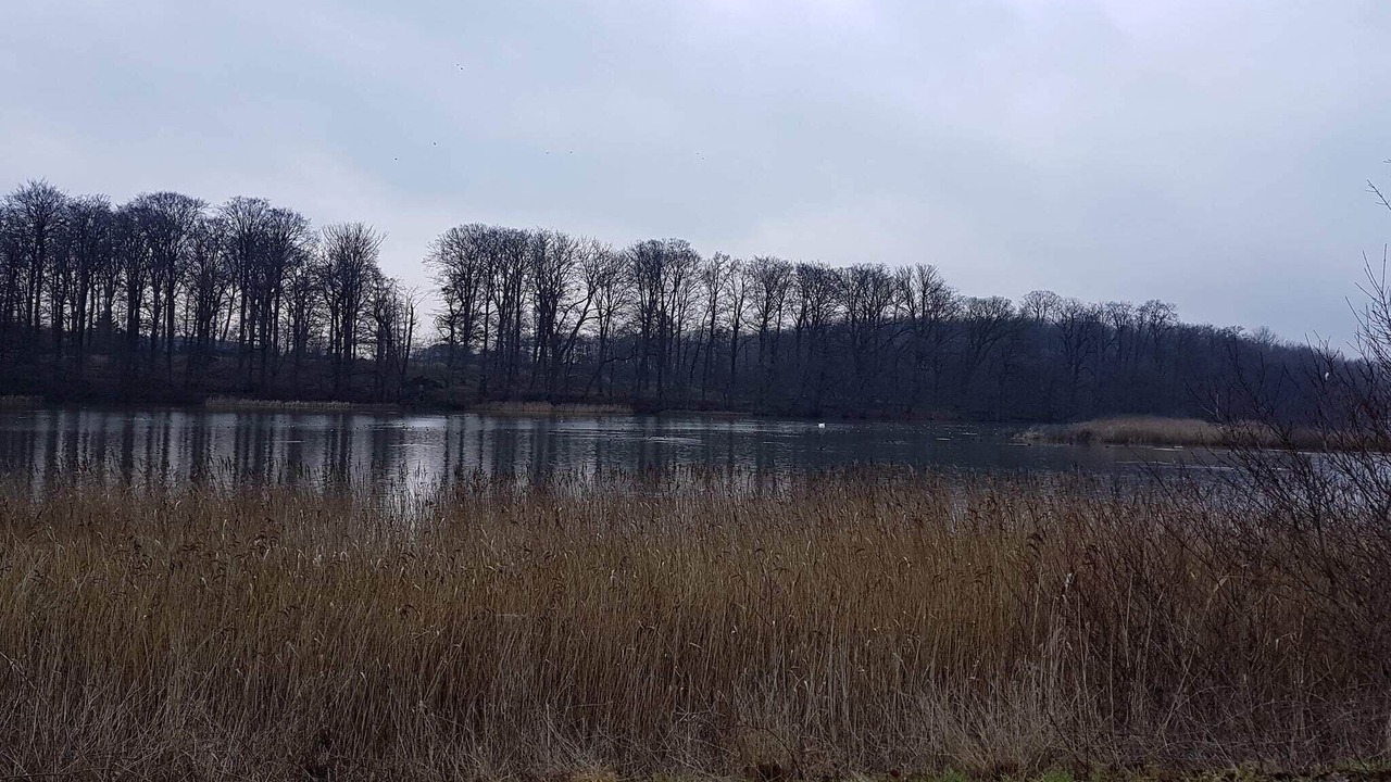 Photo of Others in Vemmenæs