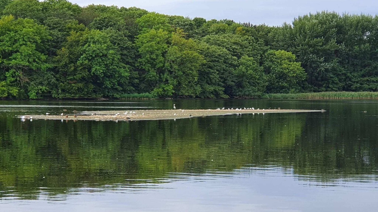 Photo of Others in Vemmenæs