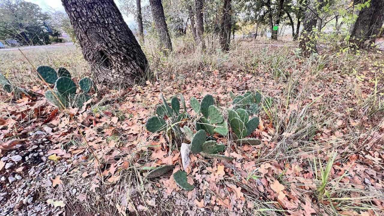Photo of Outdoor in Medicine Park