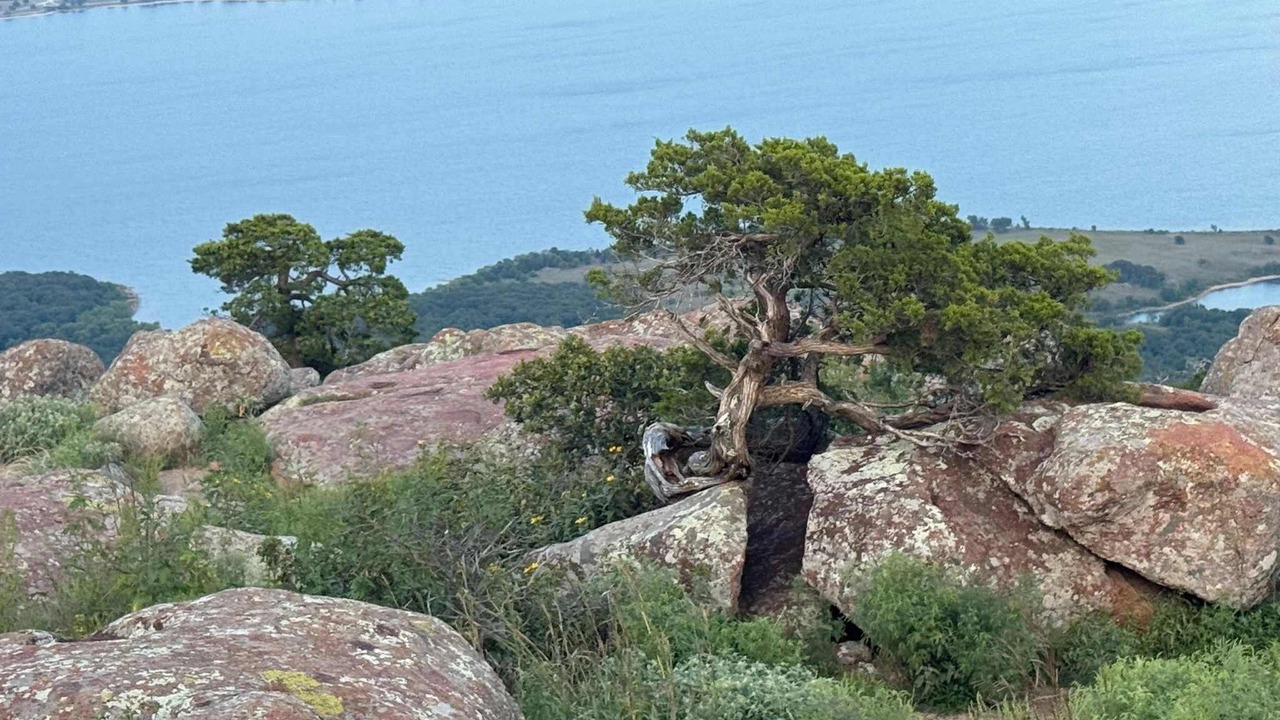 Photo of Others in Medicine Park