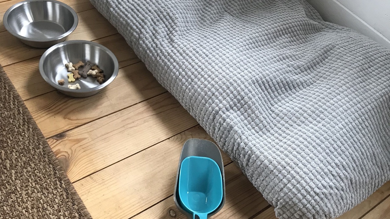 Photo of Bedroom in Saint-Regnobert-de-la-Cote-de-Nacre