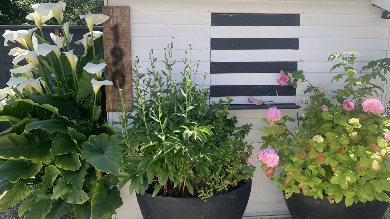 Photo of Outdoor in Saint-Regnobert-de-la-Cote-de-Nacre