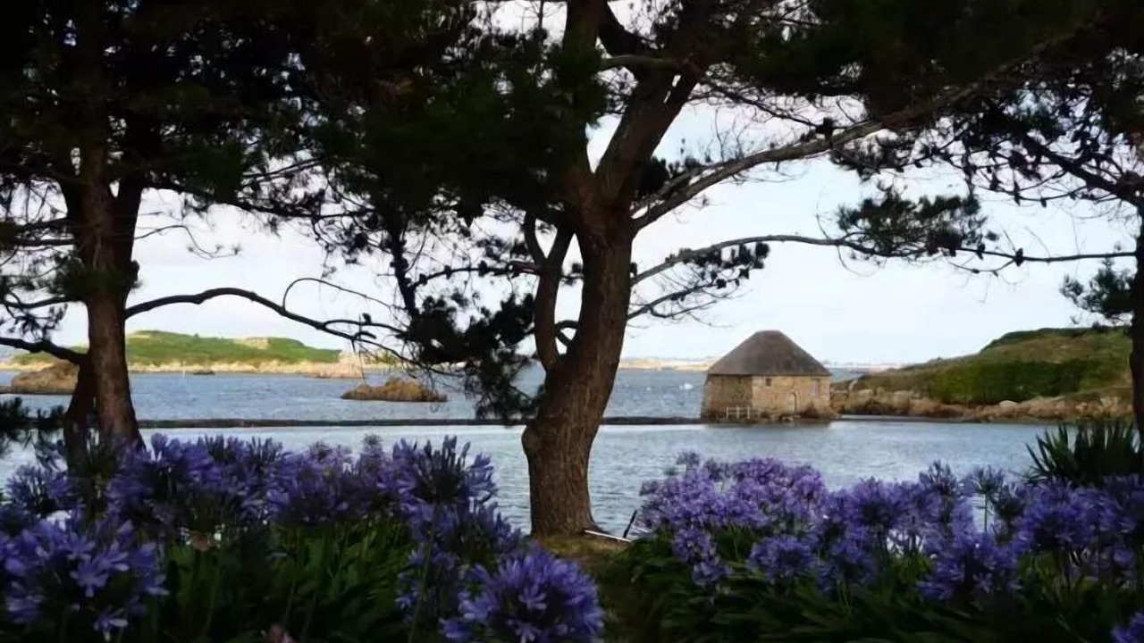 Photo of Others in Binic