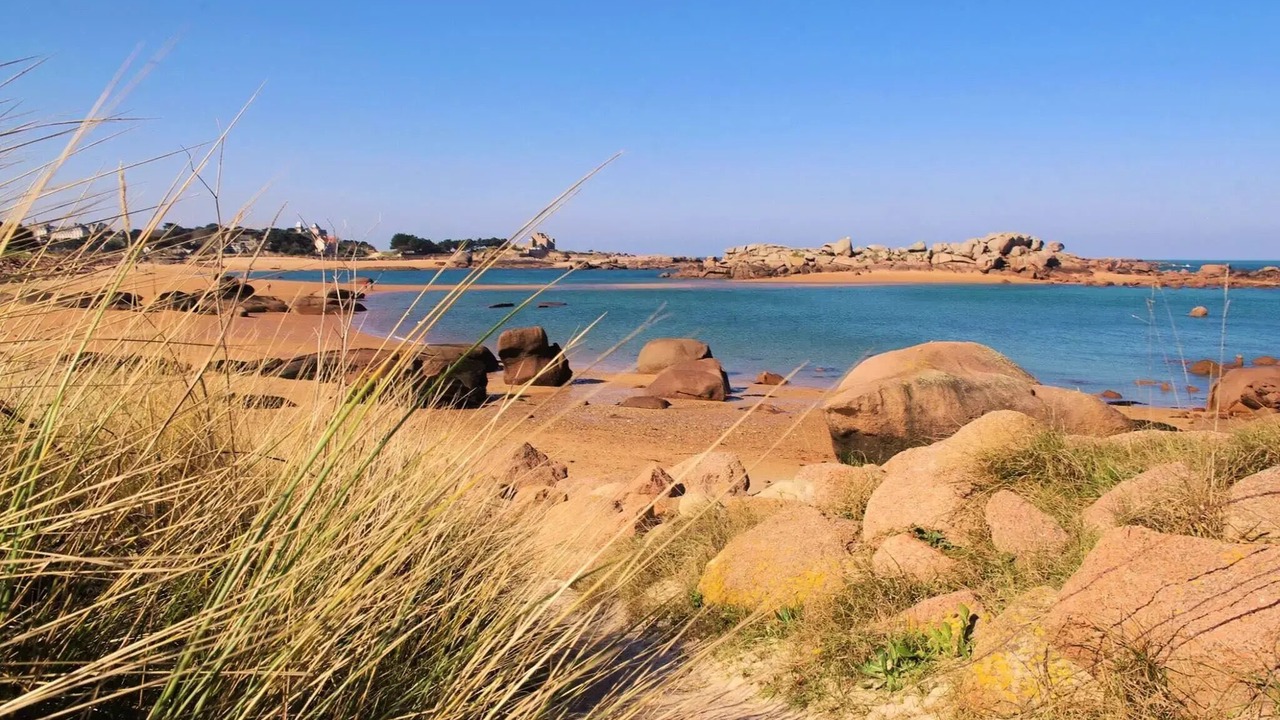 Photo of Others in Binic