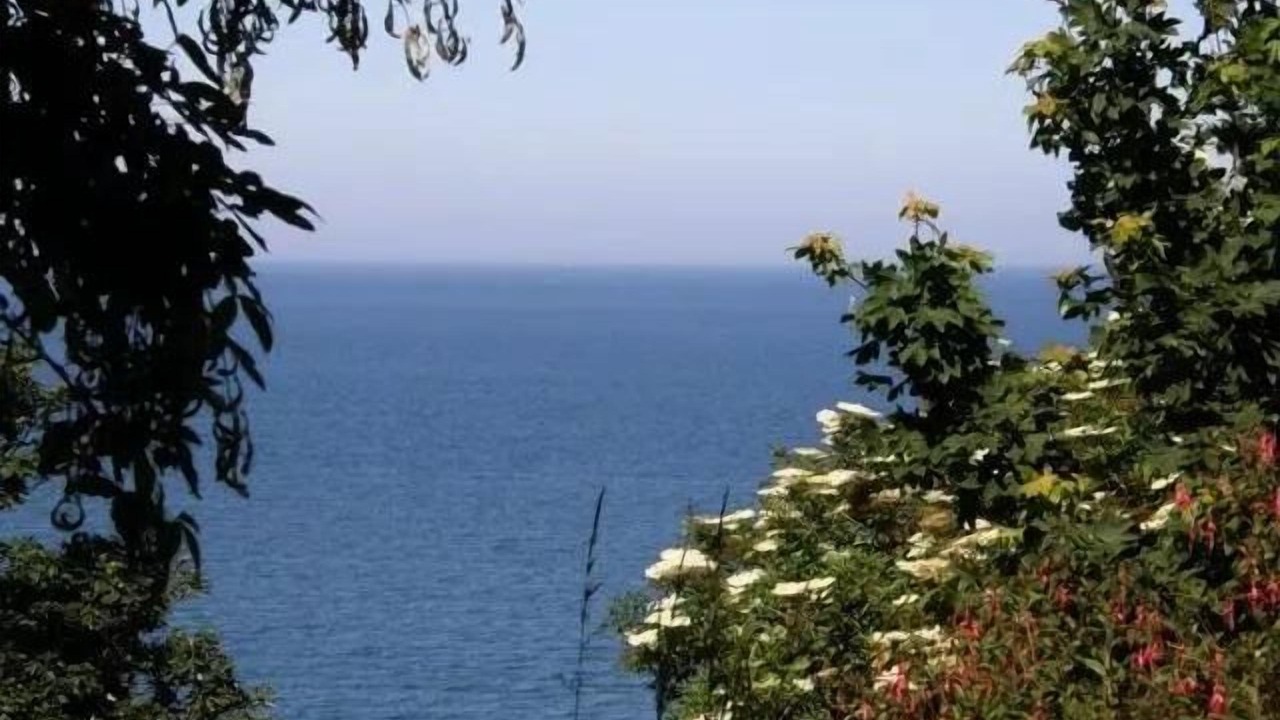 Photo of Others in Binic