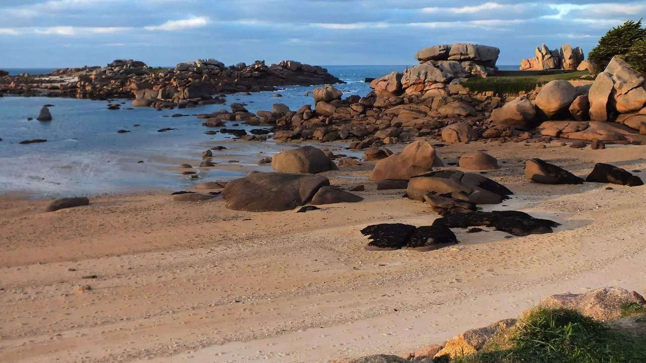 Photo of Others in Binic