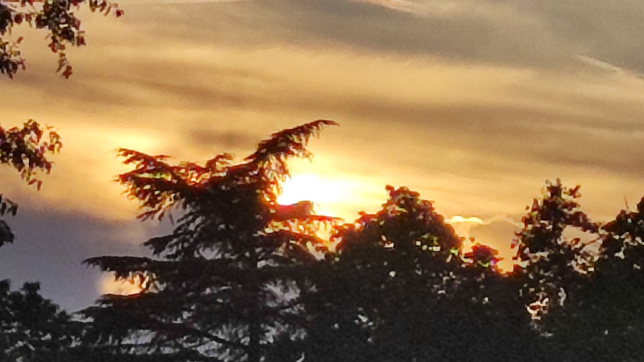 Photo of Outdoor in Cendrieux