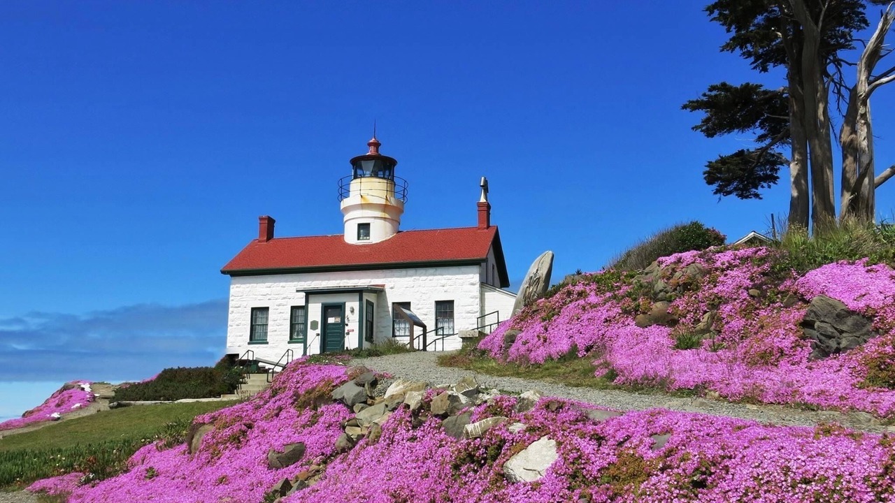 Photo of Others in Crescent City